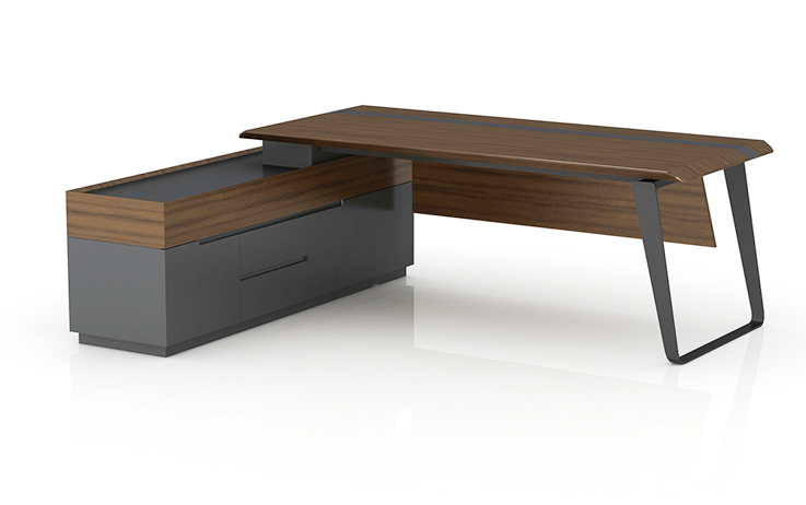 Modern Executive Office Desk