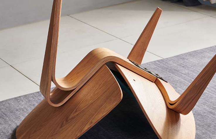 Modern Leisure Chair