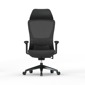 Ergonomic Mesh Swivel Chair