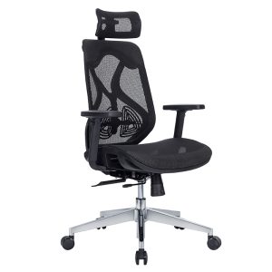Office Chair Ergonomic