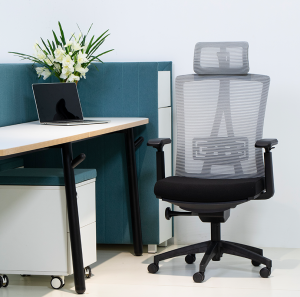 Ergonomic Mesh Office Desk Chair
