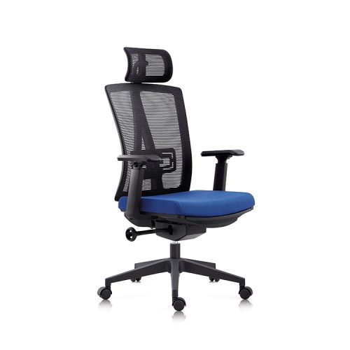 Ergonomic Mesh Desk Chair