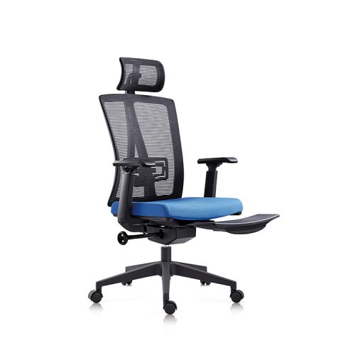 Ergonomic Mesh Desk Chair