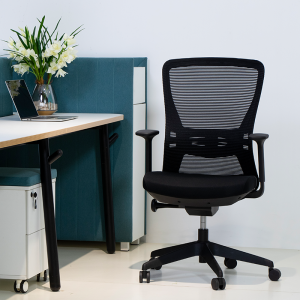 Ergonomic Mesh Swivel Chair